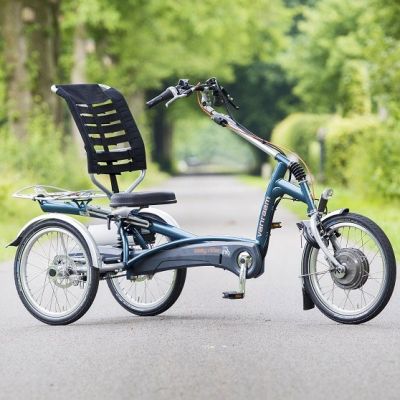 Van Raam Easy Rider Tricycle