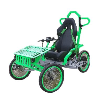 Premium EV4 Mountain Cart All Terrain Electric Vehicle 