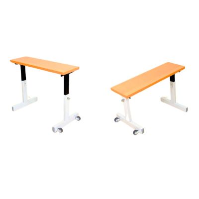 Moeckel B1 Therapy Bench