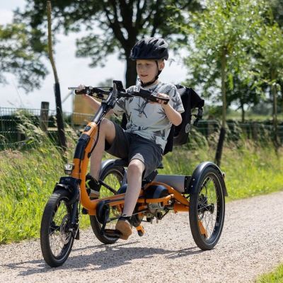 Van Raam Easy Rider Compact Small Tricycle