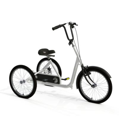 Tomcat Skool Cat Trike