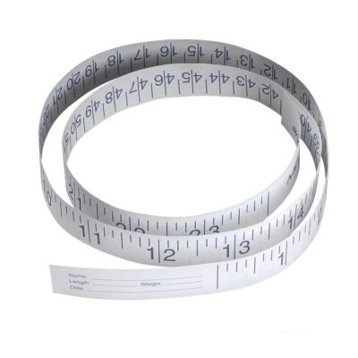 Disposable Measuring Tapes