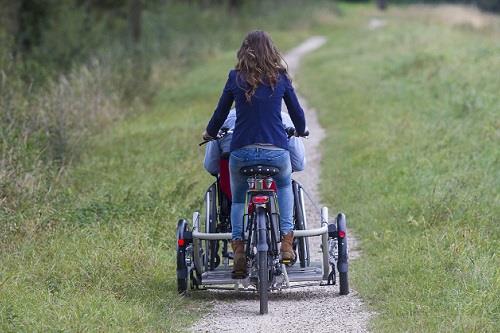 velo-plus-wheelchair-bike