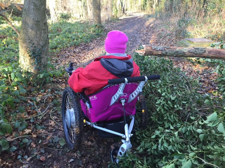 trekinetic-wheelchair-forest